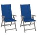 VidaXL Tuinstoel Blauw