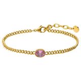 Lucardi - Dames Stainless steel armband met geboortesteen zirkonia voor dames - Armband - Staal - Goudkleurig - 20 cm