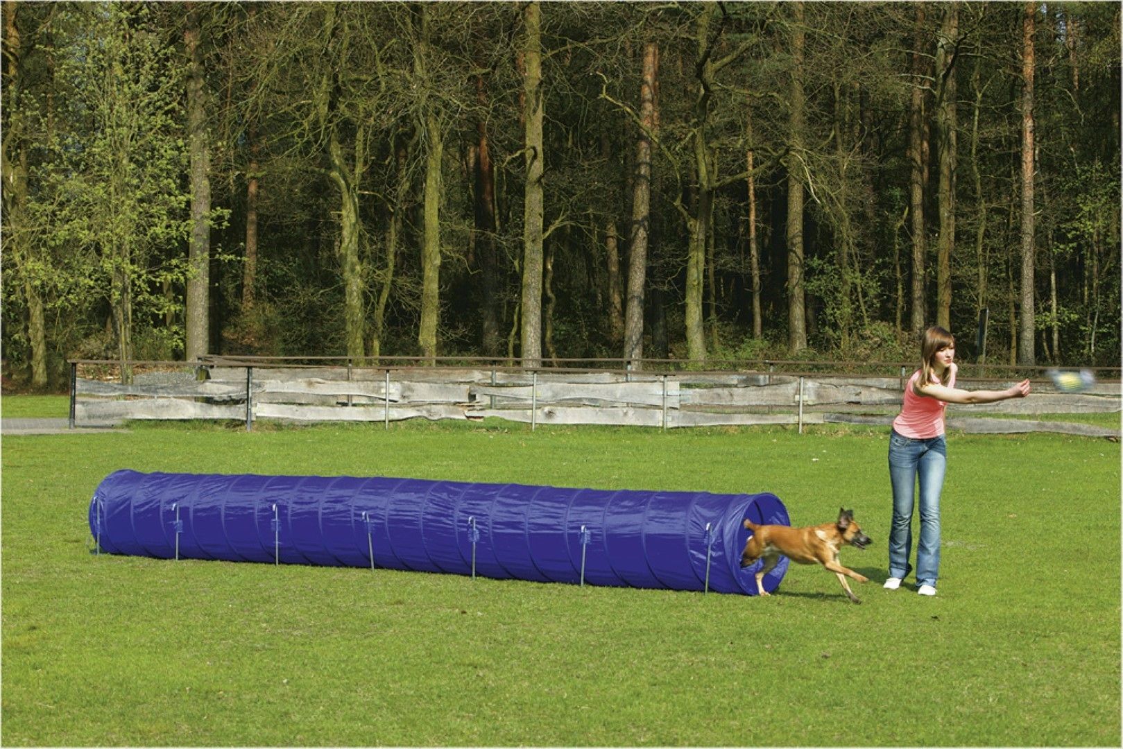 Beeztees Agility Tunnel Large 525x60x60 - blauw