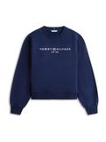 Tommy Hilfiger Dames Sweater Katoen/Polyester Ronde Hals Lange Mouw Casual Herfst/Winter