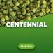 Centennial Houblons en pellets Centennial 5 kg