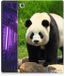 B2Ctelecom Back Cover voor Lenovo Tab M10 Plus Back Case Panda