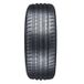Blackarrow Sport Macro DART P15