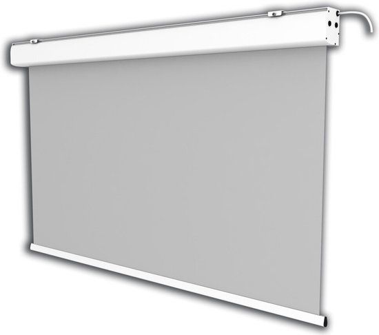 Celexon Leinwand Motor Expert projectiescherm 3,11 m (122.5") 1:1