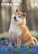 CalendarsRUs Shiba Inu A3 Kalender 2027
