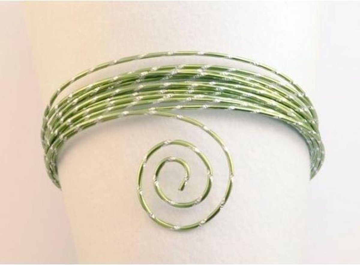 Vaessen Creative Aluminium draad - Aluminium wire diamond cut 2mm 5m apple green