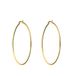 Lucardi Dames Stalen goldplated oorringen 60mm