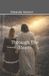 Through Independently Published Through the Storm Paperback