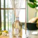 Dr. Vranjes Ambra Diffuser Geurstokjes - 250ml