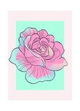 Disney Komar Disney muurschildering | Cinderella Rose | kinderkamer, babykamer, decoratie, kunstdruk | grootte 50x70cm (breedte x hoogte) | zonder lijst | WB019-50x70