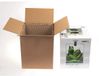 Shrimp Aquael Shrimp Set Smart Dag & Nacht 30 Ecom | 29L | 29 x 29 x 35CM Wit