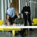 PIAS Nederland Harmonia Mundi Trio Wanderer - Dvořák: Piano Trios Op. 65 & 90 (CD)