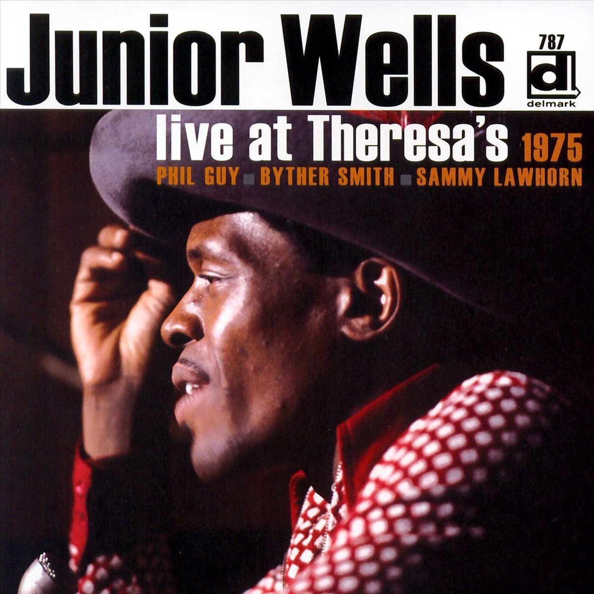 Music&Words Junior Wells - Live At Theresa's 1975