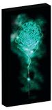 Harry Potter canvas met 6 ledlampjes om op te hangen en neer te zetten, 20 x 3 x 40 cm