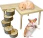 Shenzhen Haorui Industrial Technology Co., Ltd. Plateforme d'escalade en bois pour hamsters et gerbilles - Échelle ronde