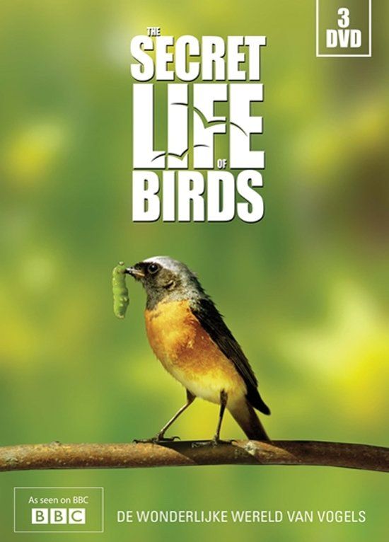 The Secret Life Of Birds - DVD