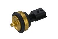 HELLA 6PT 013 113-221 Temperatuursensor - 2-polig