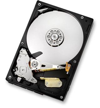 Hitachi CinemaStar 5K1000 - Interne harde schijf - 3.5 inch - Zwart