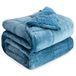 Cottonblue Verzwaarde deken voor volwassenen, pluche deken voor slaapbank, zware deken 15 lbs met glazen kralen, dikke donzige beddeken met zacht pluche flanel voor gebruik in alle seizoenen, 48 x 72