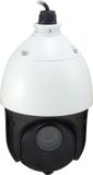 LevelOne FCS-4051 bewakingscamera Dome IP-beveiligingscamera Zwart/Wit Binnen & buiten Ethernet 1920 x 1080 Pixels Plafond