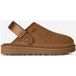 UGG Goldencoast Clog II Chestnut - maat 44