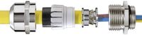 Wiska M20 Messing (vernikkeld) Natuur Wartel Slagvast, Met trekontlasting, Met dichting 50 stuk(s)