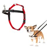 Halti Front Control Hondentuigje | Maat S | Voorkomt dat je hond aan de lijn trekt, controleer je hond zacht over de borstzone, Geschikt voor kleine honden