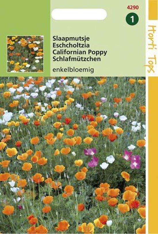 Hortitops Zaden - Eschscholtzia Californica Enkelbl. Gemengd