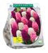 Baltus Bollen Hyacinth mixed pink 9 stuks