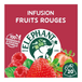 ELEPHANT Infusion Framboise Menthe x20 40g