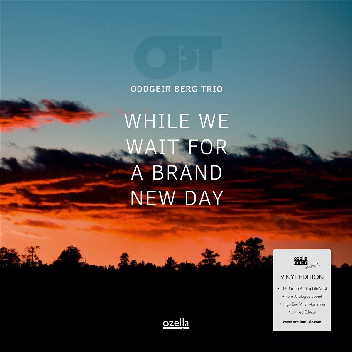 Music&Words Oddgeir Berg Trio - While We Wait For A Brand New Day (LP)