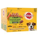 Pedigree Vital Protection hondenvoer in zak, hondenvoer in saus met kip, rundvlees, kalkoen en lam, 2 x 24 x 100 g grote verpakking