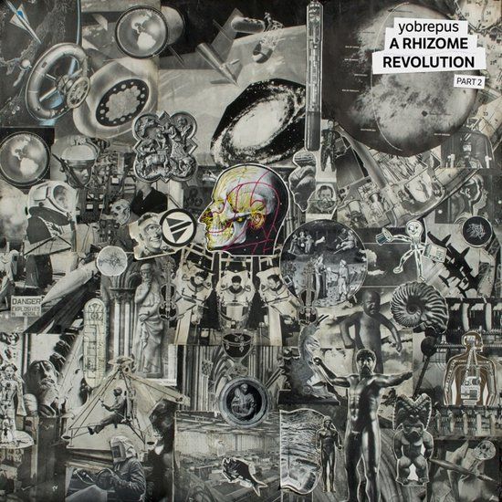 Apollon Records A Rhizome Revolution Part 2