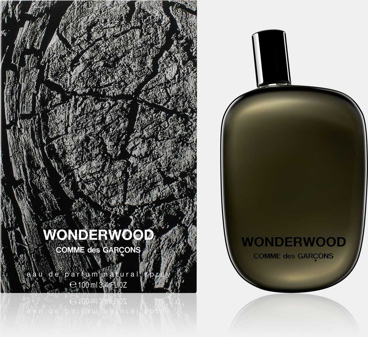 Comme des Garcons Eau de Parfum / 100 ml / Heren