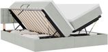 vidaXL lit de rangement gris clair 180 x 200 cm velours