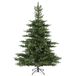 EVERLANDS Grandis Fir Weihnachtsbaum 250 x 450 cm (Ø x H)