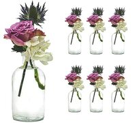 casavetro - 6 of 12 stuks kleine vaasBOST bloemen tafel decoratie bruiloft party set fles glas helder(6 x 250 ml)