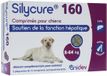 Anidev Silycure 160 Leverondersteunend Supplement voor Honden 5x15 Tabletten