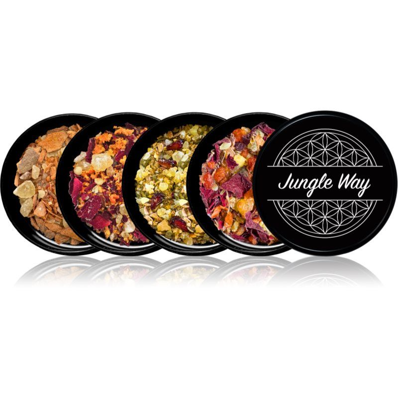 Jungle Way Discovery set