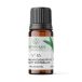 Light Candel Art Huile parfumée, Nr. 18, Eucalyptus australien, 10 ml