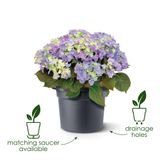 Elho Green Basics Cilinder 45 Bloempot - Mild Terra - Kunststof - Rond - 43.8 x 33.8 cm
