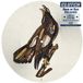 Book Clutch - Book Of Bad Decisions (2 LP) (Picture Disc) (Limited Edition)