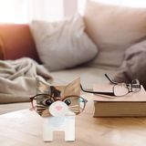 GarveeLife Decoratieve Brillenhouder met Diermotieven