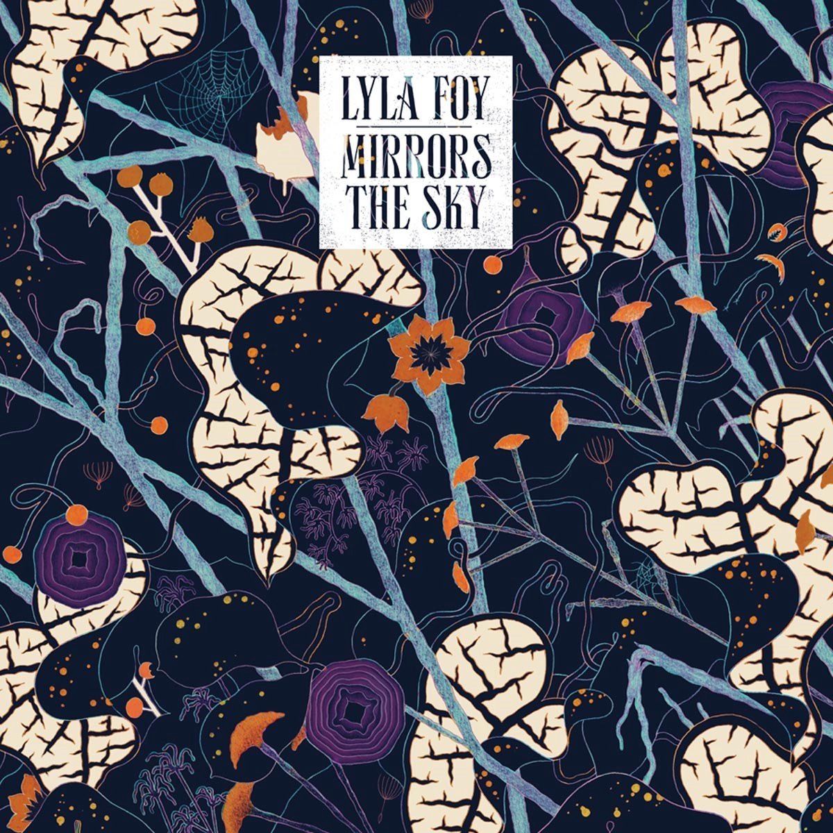 Konkurrent Lyla Foy - Mirrors The Sky (LP)