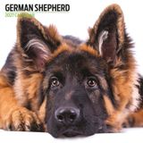 Duitse herder 2027 moderne kalender