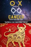 Ox × Cancer: YEAR OF THE OX 2026-2027: YOUR MONTHLY LOVE, CAREER & MONEY FORECAST