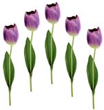 Flair Flower Real Touch Kunsttulpen, lentedecoratie, paasdecoratie, paars, 67 x 4 x 4 cm