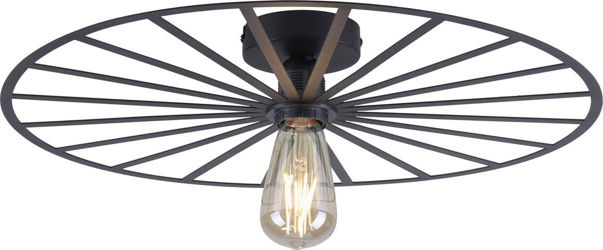 PAUL NEUHAUS Isabella Plafondlamp Ø 50 cm - Zwart - Metaal