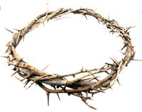 Crown of Thorns Bethlehem Jerusalem HOLY Land aprox 7.5" Diameter Zuluf Store HLG027