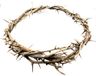 Crown of Thorns Bethlehem Jerusalem HOLY Land aprox 7.5" Diameter Zuluf Store HLG027
